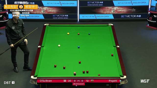 样性的长期 样性的长期