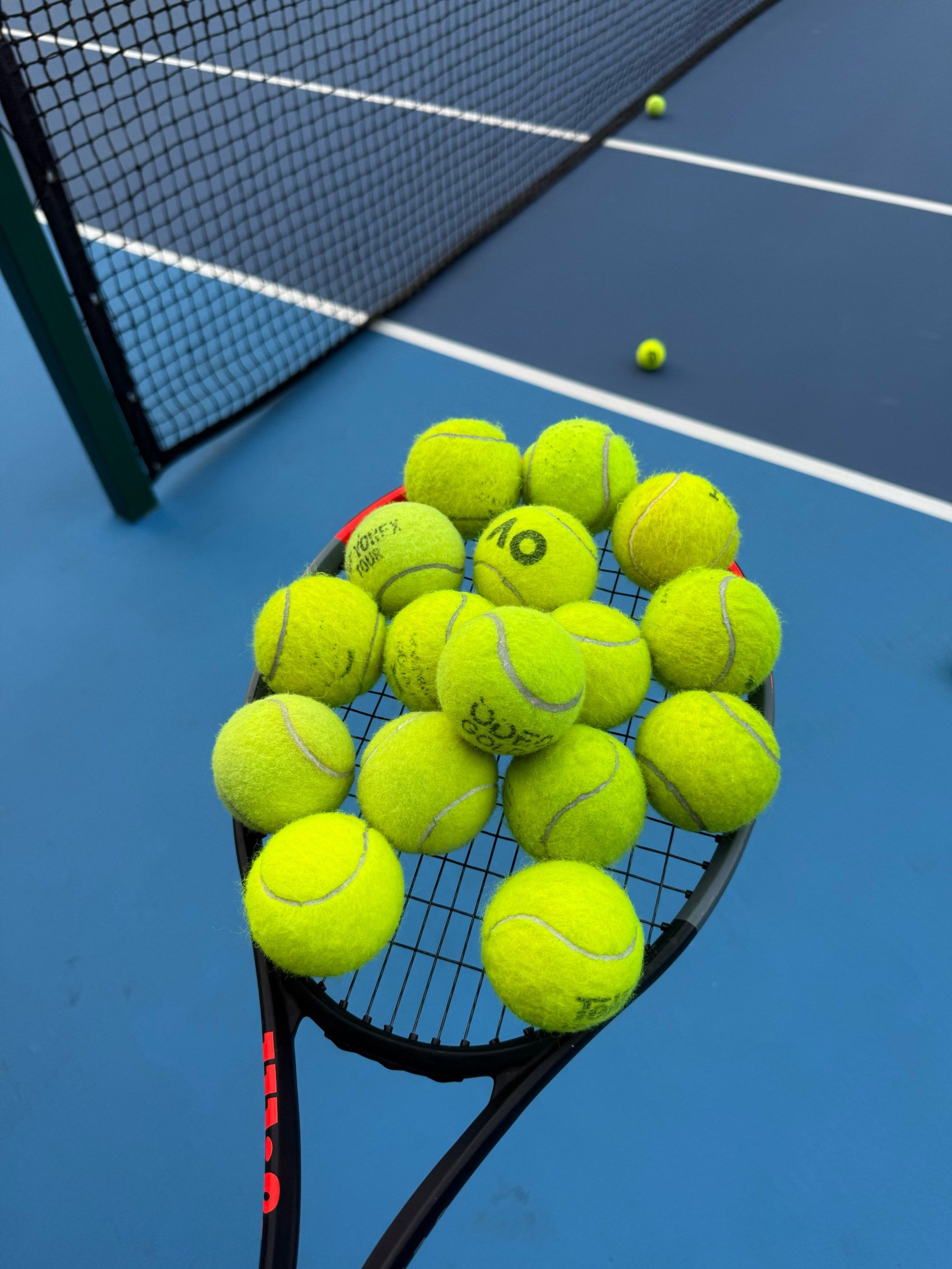 生化等经典 生化等经典